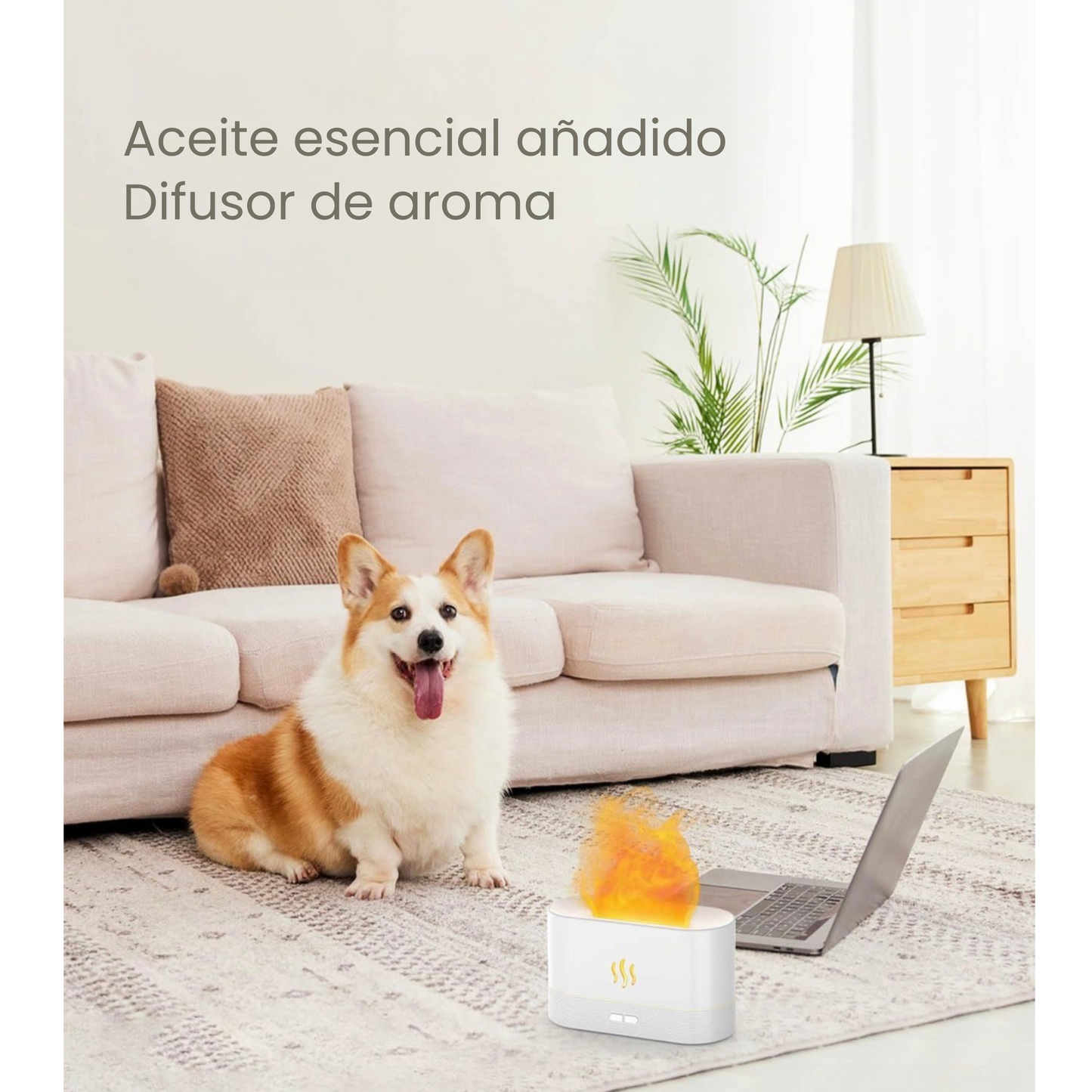 Humidificador de Aceites Esenciales™